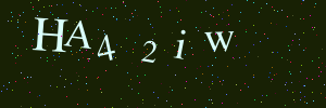 Validation image