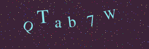 Validation image