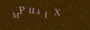 Validation image