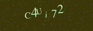 Validation image